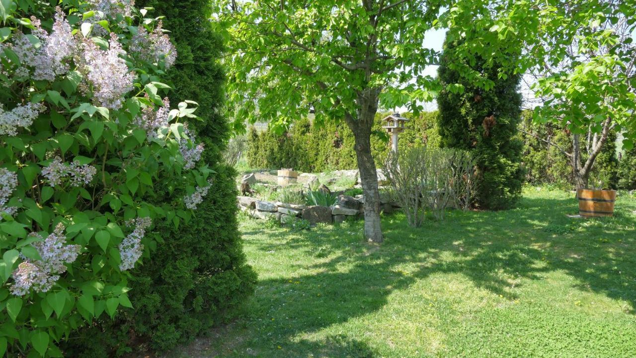 ג'ויס Gaestehaus Fischbach מראה חיצוני תמונה