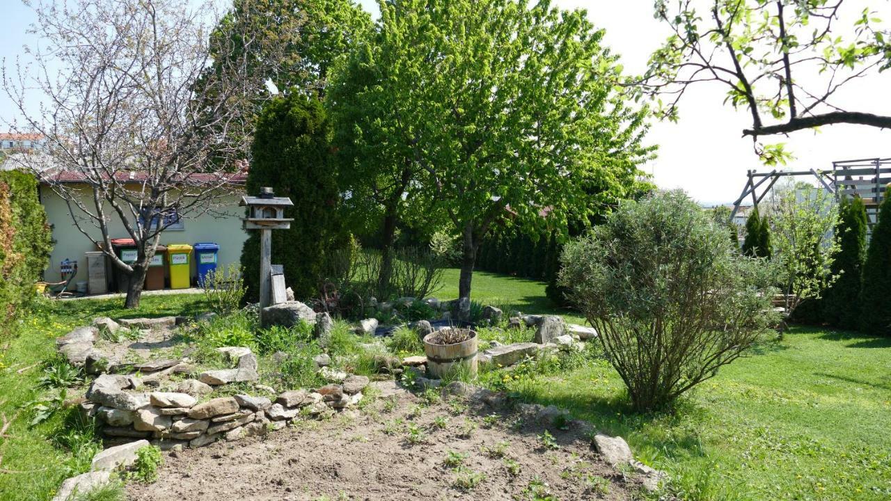 ג'ויס Gaestehaus Fischbach מראה חיצוני תמונה